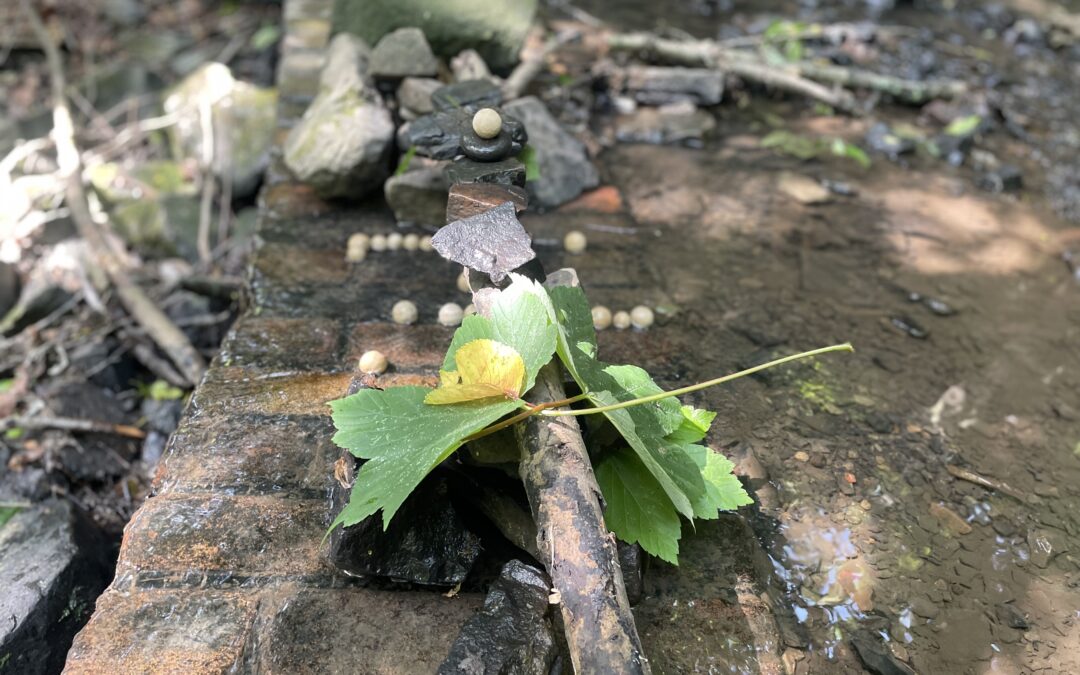 Wald Exkursion der FSU