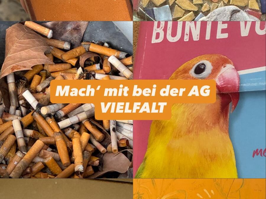 AG Vielfalt – Gemeinsam für eine bunte Schule